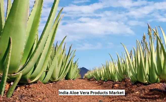 India Aloe Vera Products Market: Impact of Rising Health Consciousness