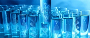 Advancements in Breast Cancer Research: The Role of Tumor Models and Customized ADCs Development Services