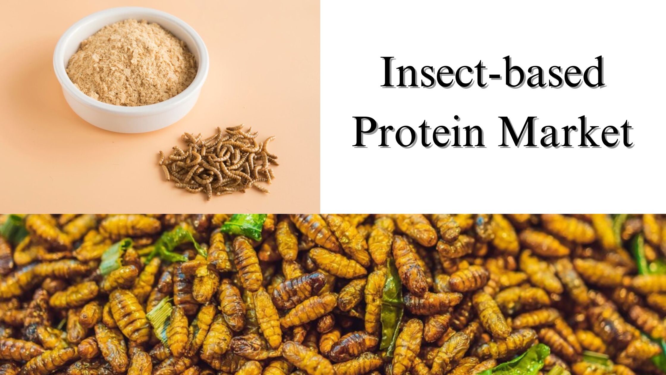 Insect-based Protein Market Share, Size, Growth Forecast Through 2029