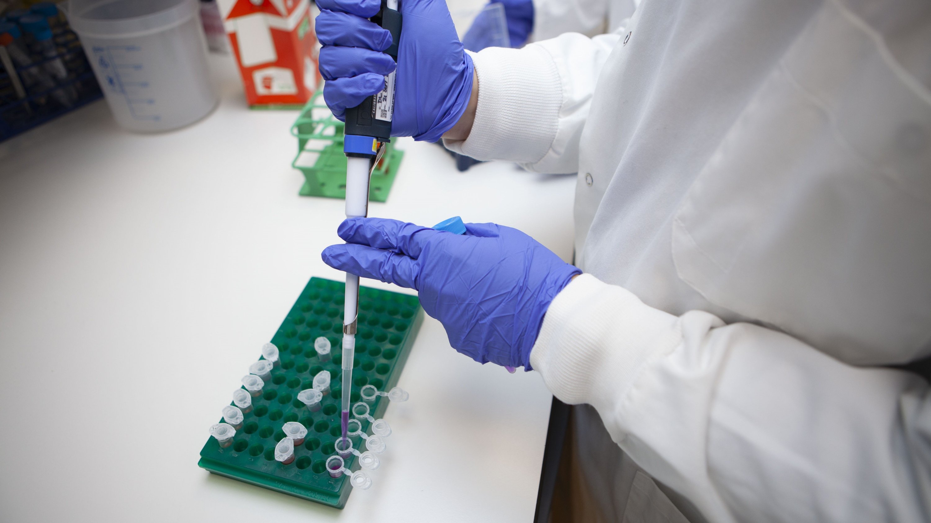 MSC Stem Cell Therapy in Malaysia: A Breakthrough in Regenerative Medicine