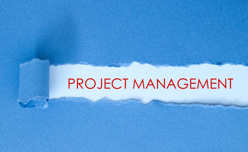 The Role of Customization in Project Management Software