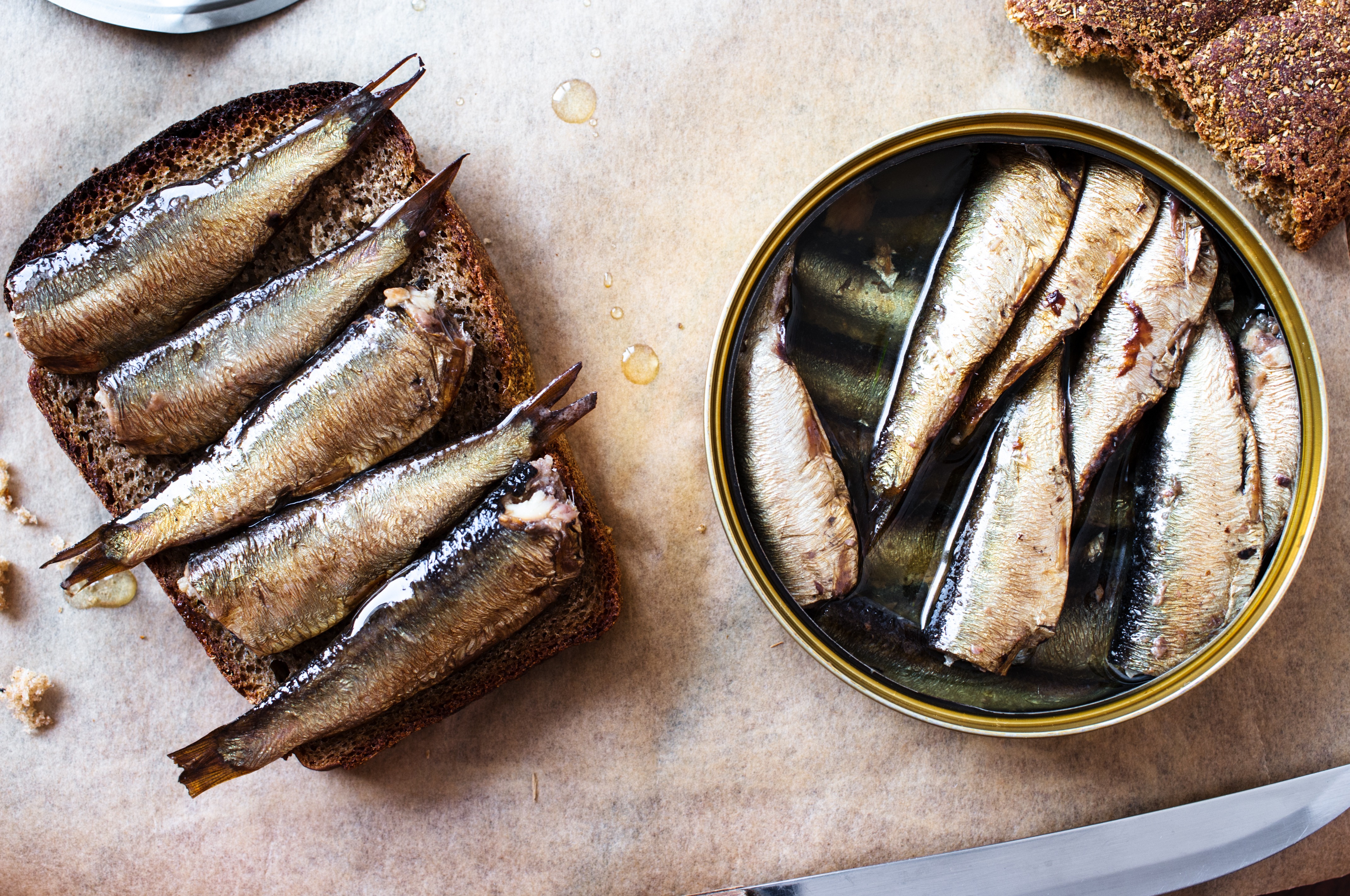Canned Sardine Manufacturing Plant Project Report 2024: Comprehensive Business Plan, Requirements and Cost Analysis