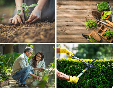 How to Select the Right Gardening Supplies for Indoor Plants