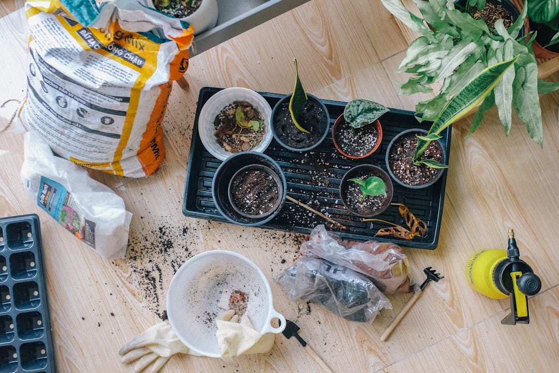 How to Save Money on High-Quality Gardening Supplies