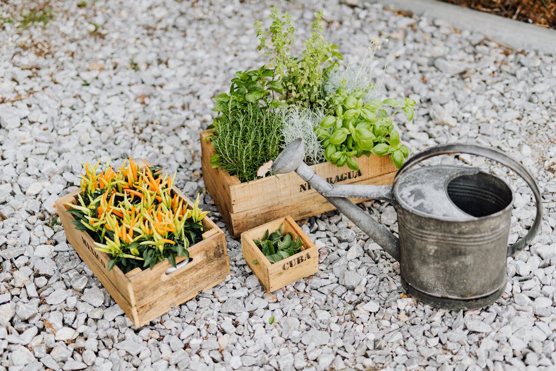 How to Identify Must-Have Gardening Supplies for Every Season
