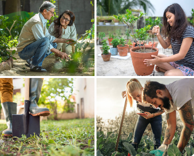 How to Prepare Your Garden for Seasonal Changes with the Right Supplies?