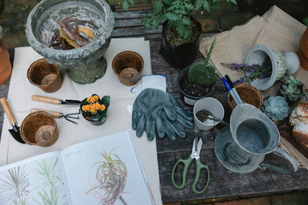 What Are the Latest Trends in Vertical Gardening Supplies?