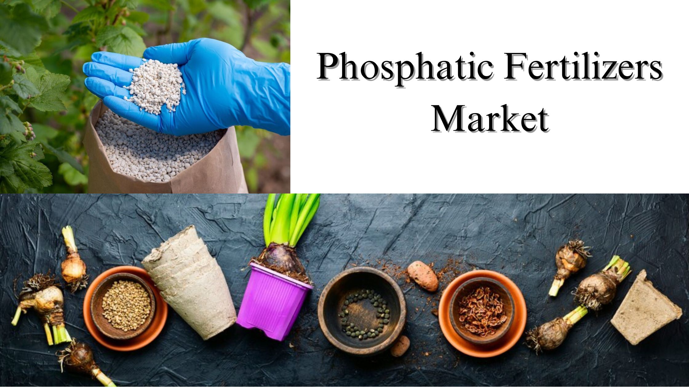 Phosphatic Fertilizers Market Size, Share, Growth Analysis and Forecast to 2032