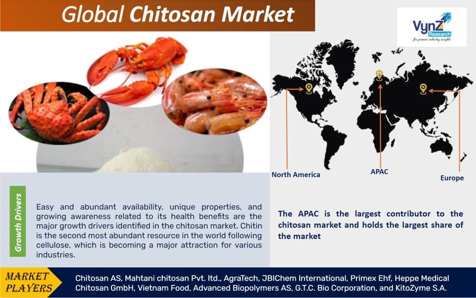 Global Chitosan Market – Analysis and Forecast (2025-2030)