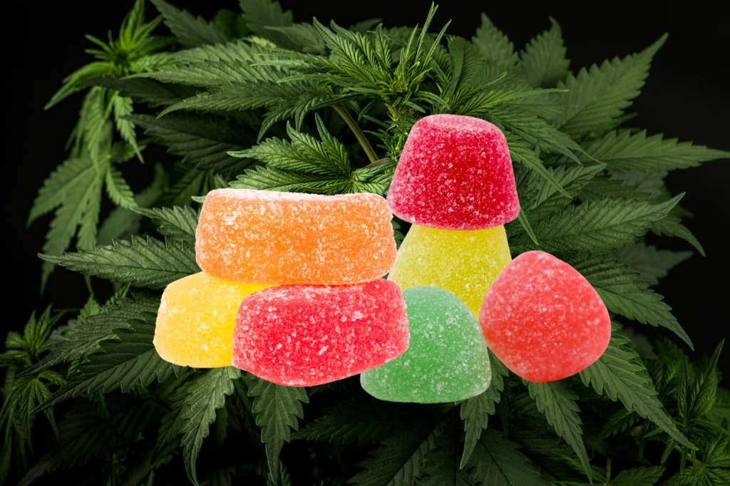 Emerging Hydrocolloid Applications in Food Innovation