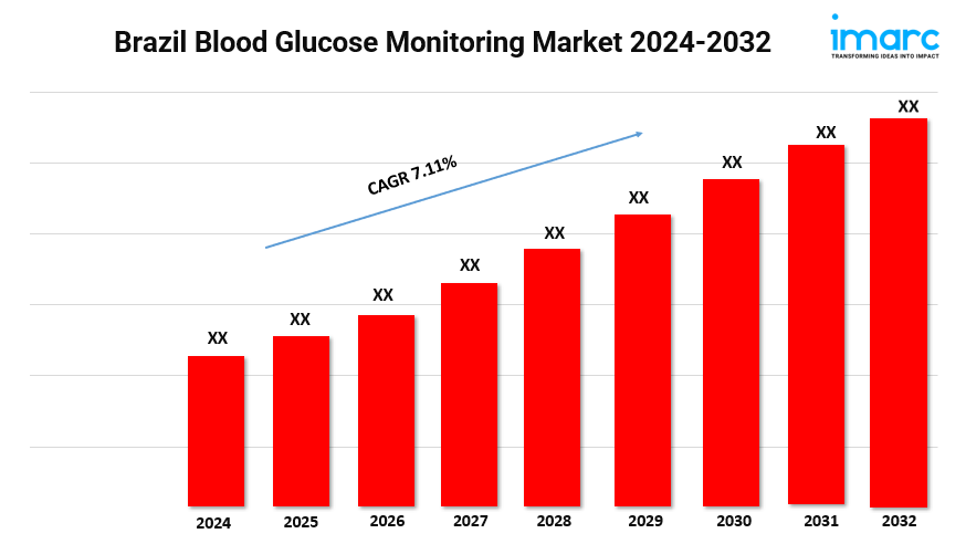 Brazil Blood Glucose Monitoring Market Size, Demand, Trends & Forecast 2024-2032