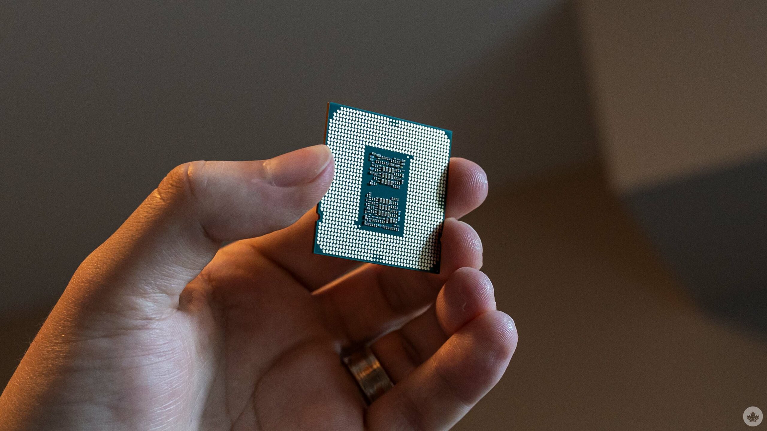 The Rising Tide of ARM-Based PC Processors: Focus on North America