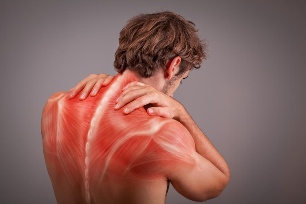 Which Is Better for Muscle Pain?