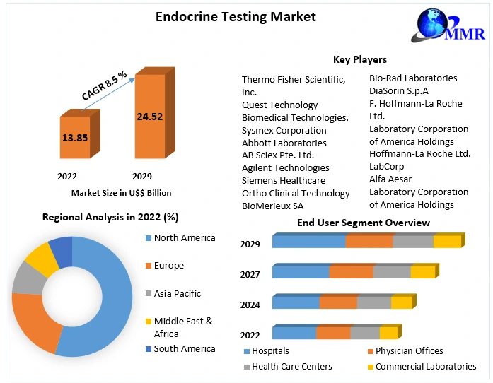 Endocrine Testing Market Analysis: Growth Factors and Revenue Projections to 2029