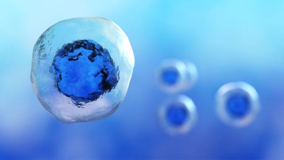 Cell Analysis Market Size Share & Growth Report