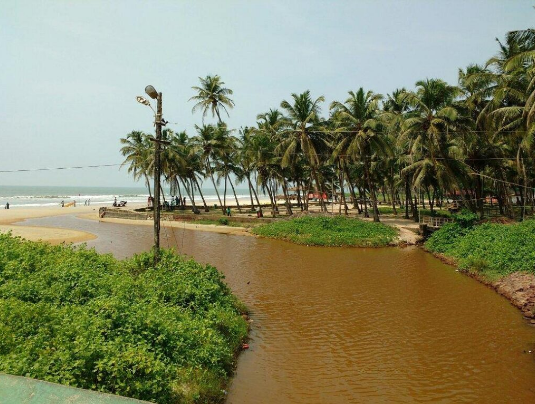 Family Resorts in South Goa: A Perfect Getaway with Soul Vacation