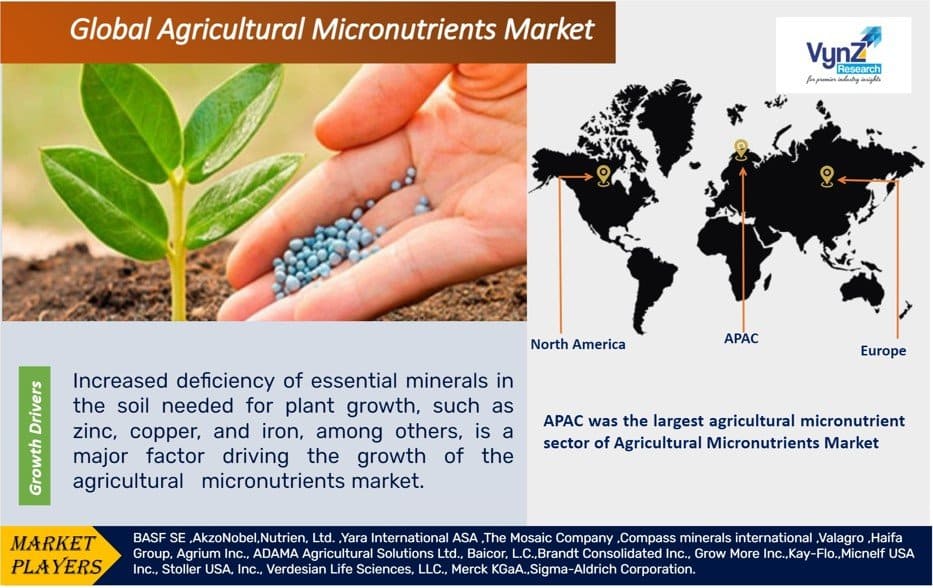 Global Agricultural Micronutrients Market – Analysis & Forecast (2025-2030)
