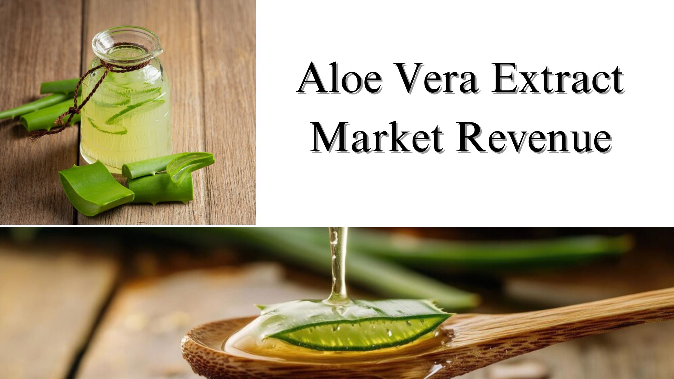 Aloe Vera Extract Market Revenue Size, Share, Industry Trends and Forecast by 2032