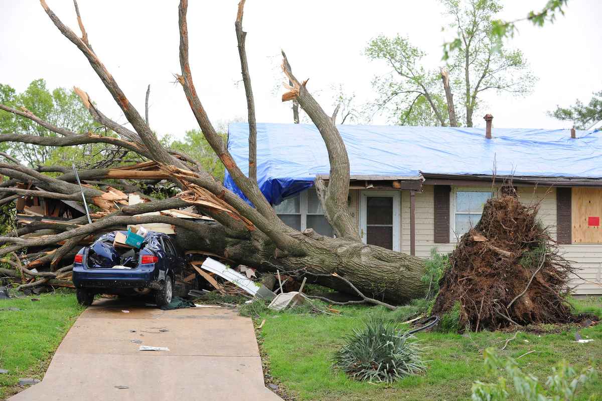 Why Is Timely Emergency Tree Removal Crucial After A Storm?