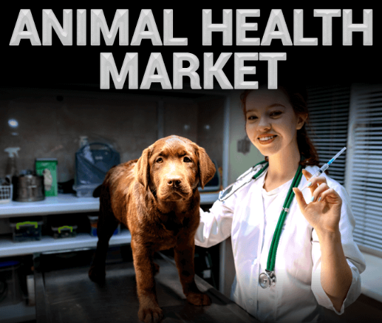 Animal Health Market: Rising Availability of Over-the-Counter Veterinary Products