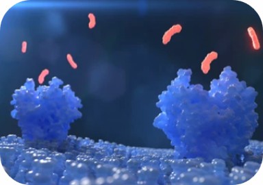 Innovations in Drug Delivery: The Promise of Peptide-Conjugated Dendrimers