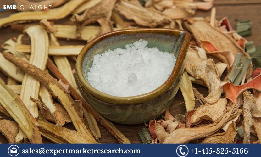 Synthetic Camphor Powder Manufacturing Plant Project Report 2025: Process, Cost and Consideration