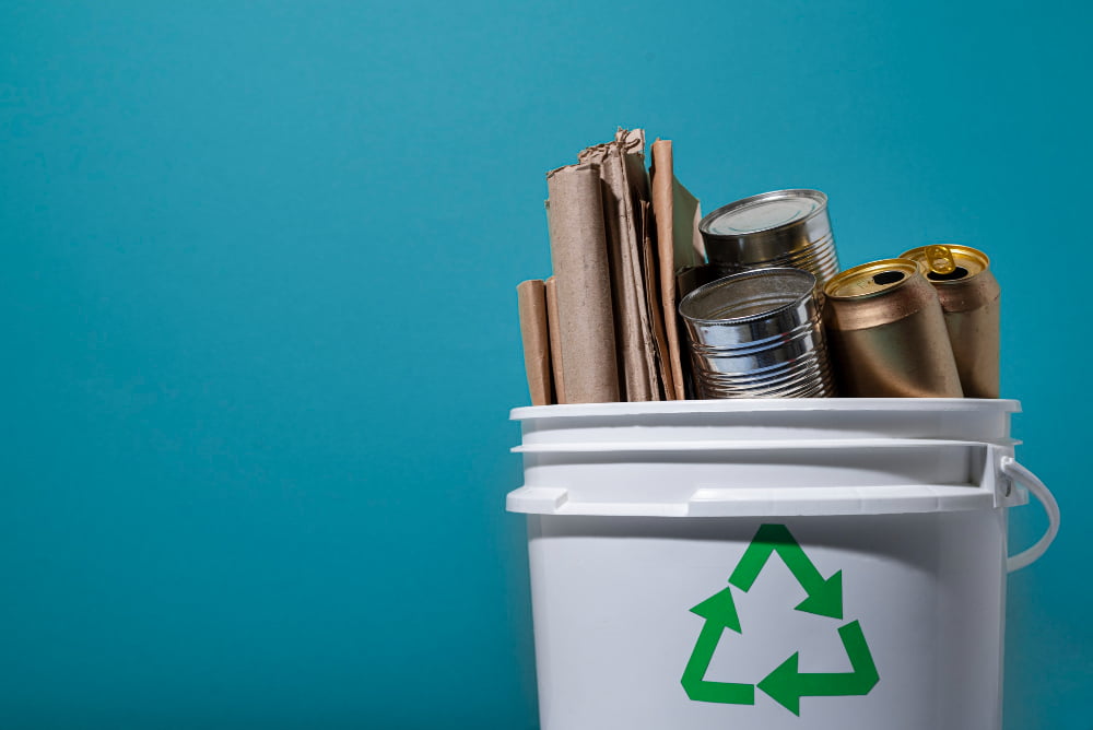 Remondis: Leading Innovations and Strategic Adaptations in the Waste Management Market