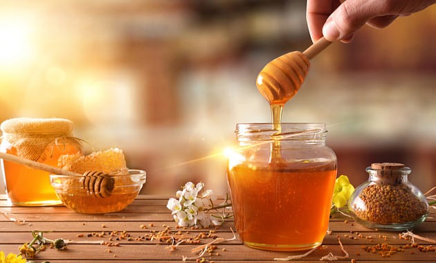 Honey processing Plant Project Report, Setup Details, Machinery Requirements and Cost Analysis