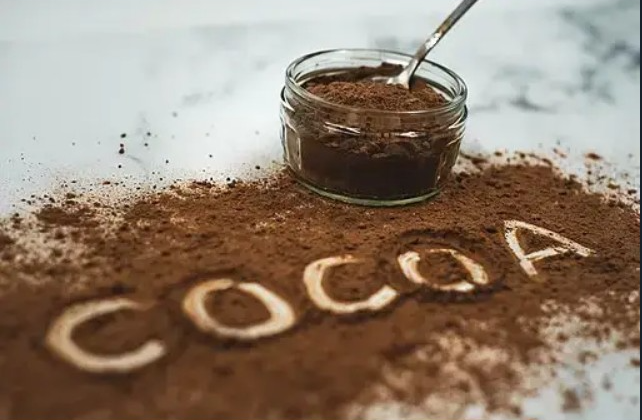 Cocoa Powder Manufacturer in Himachal Pradesh: A Game-Changer for Ice Cream and Bakery Industries