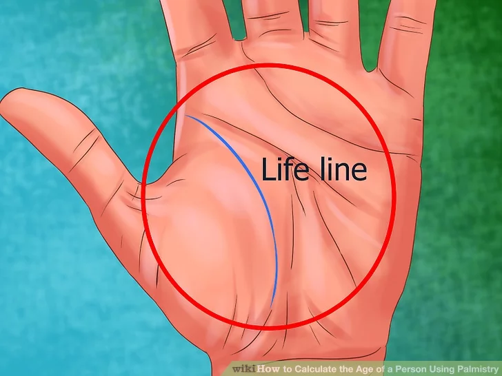 Unlocking the Secrets of Palmistry: A Beginner’s Guide