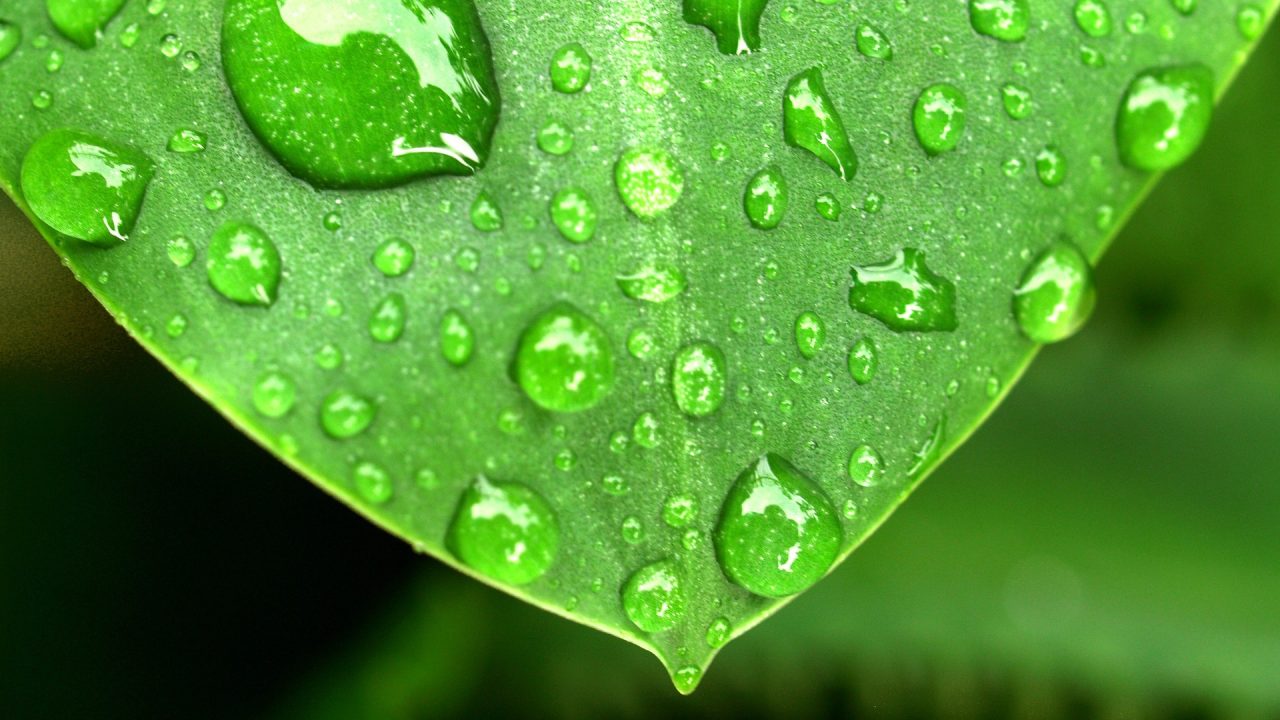 Dew Point Calculator | Understanding and Utilizing Its Importance