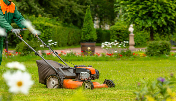 Husqvarna Group: Pioneering Innovations and Strategies in the Lawn Care Products Industry