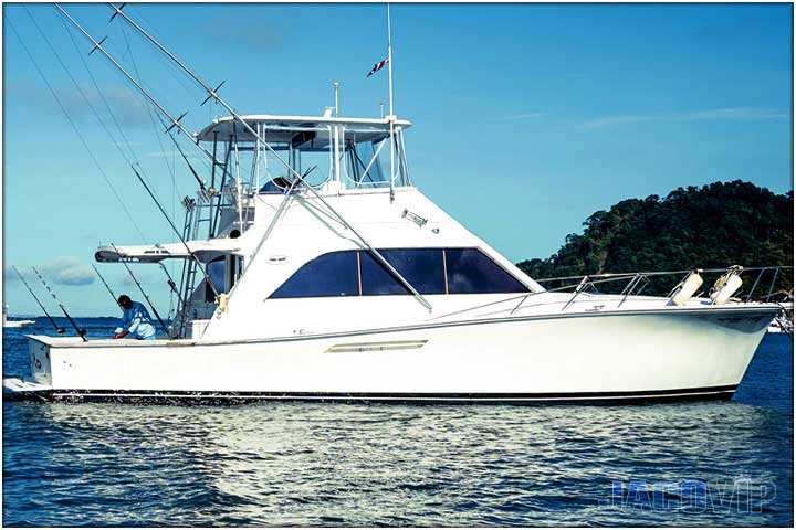 Celebrate in Style: Exclusive Yacht Rentals in Jaco for Special Occasions
