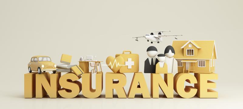 Understanding Directors and Officers (D&O) Insurance: The Intersection with Employment Practices Liability