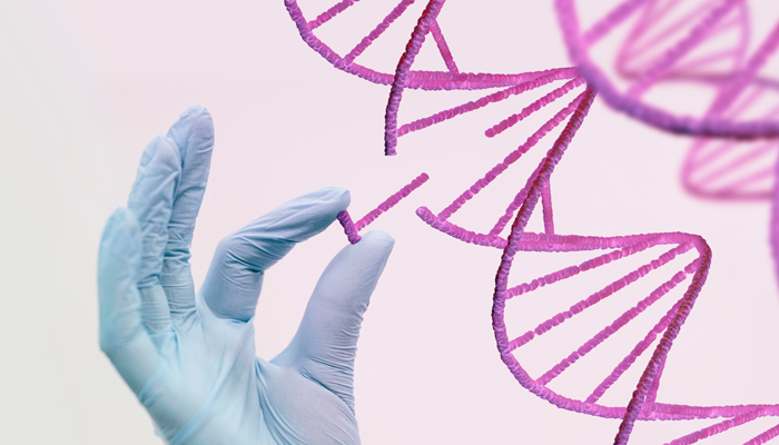 UAE Genetic Testing Market: Leading Companies and Market Size Projections for 2029
