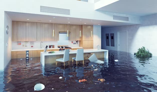 How to Evaluate Water Damage Restoration Services in Your Local Area