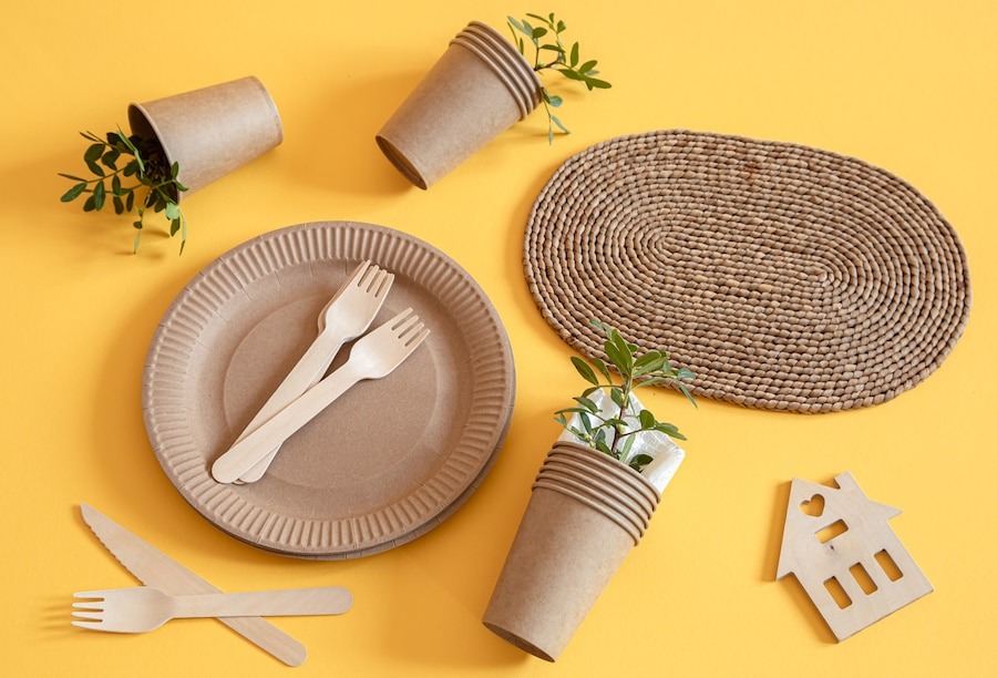 Rice Husk Based Biodegradable Disposable Cups and Plates Manufacturing Plant Cost Report, Setup and Business Plan