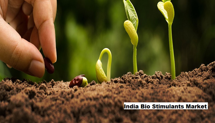 India Bio Stimulants Market Set for Growth: Nutrient-Rich Crops Driving Demand