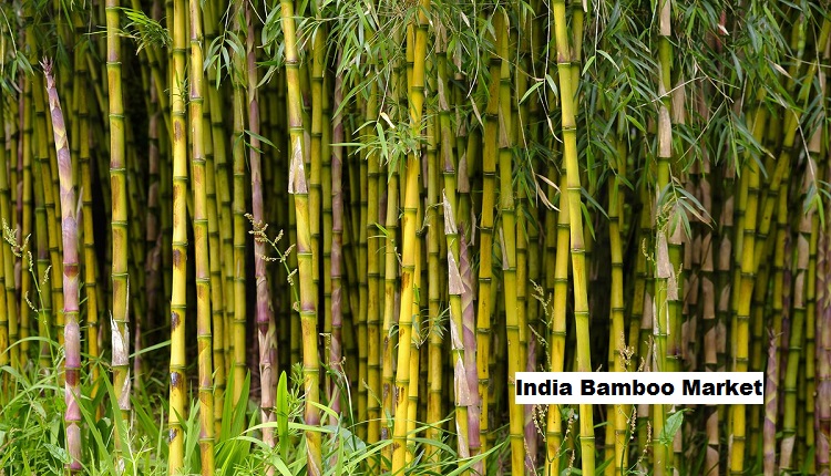 India Bamboo Market Insights: Furniture and Handicrafts Drive Market Growth