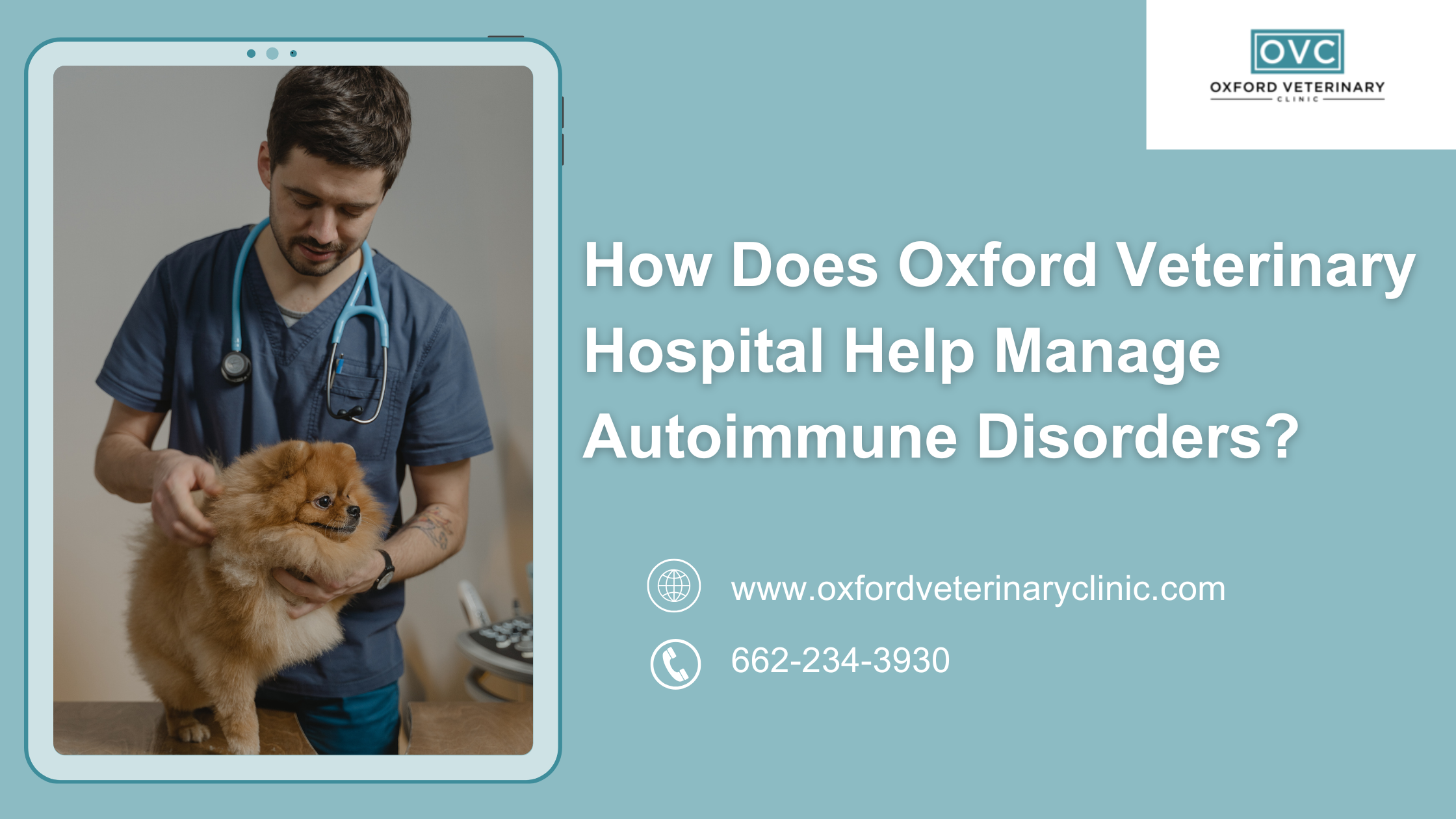 How Does Oxford Veterinary Hospital Help Manage Autoimmune Disorders?
