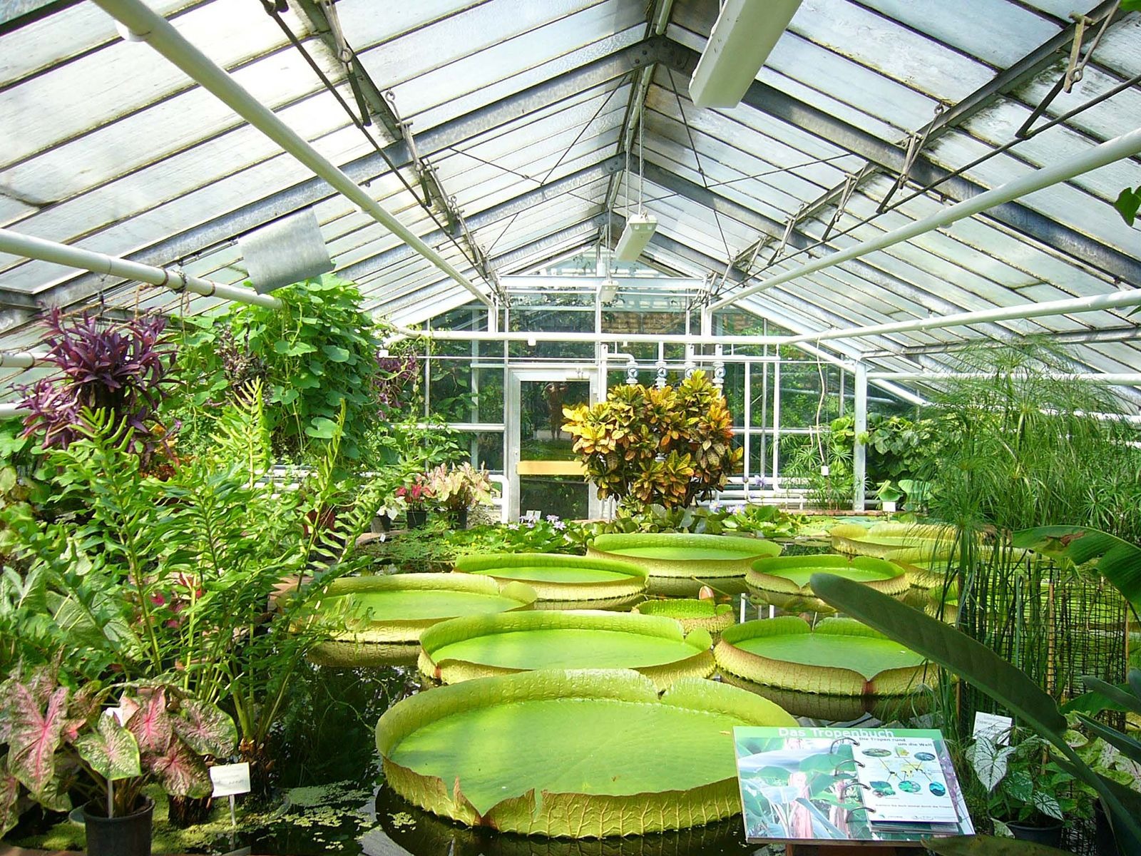 Establish a Greenhouse Manufacturing Plant: Cost Analysis and Operations