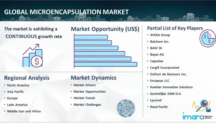 Microencapsulation Market Size, Share, Demand, Key Players Analysis & Forecast Report 2025-2033