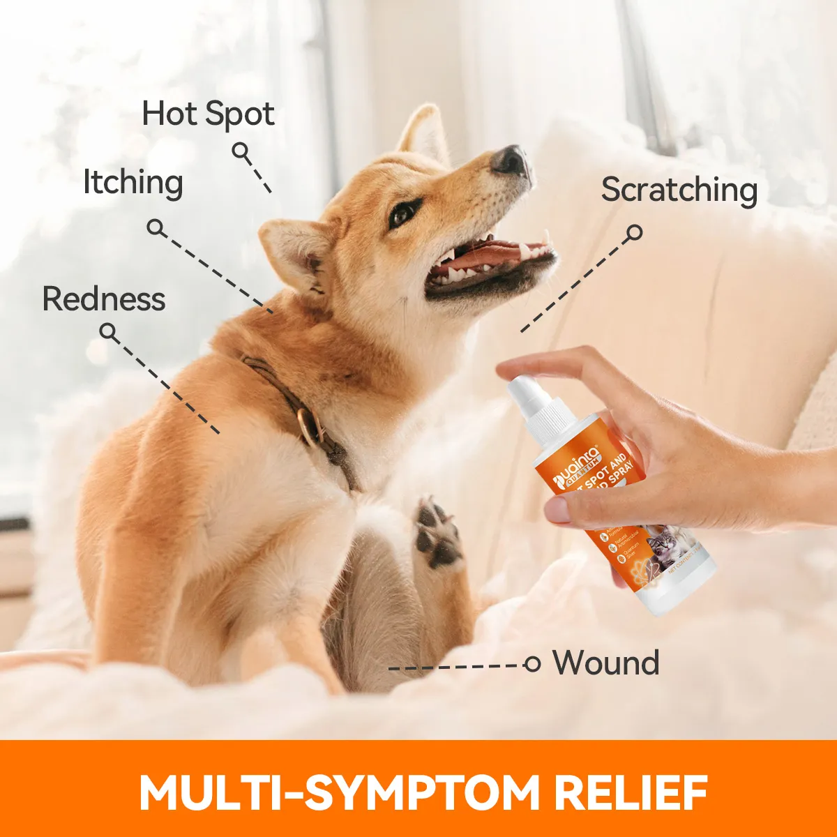 Natural Ingredients for Sensitive Skin: How Puainta Hot Spot Spray Heals Your Dog’s Skin