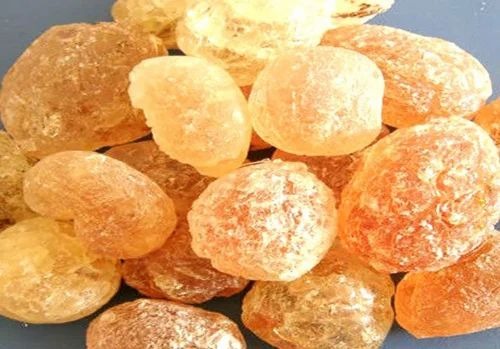 Key Steps for Setting Up a Arabic Gum Production Plant: Comprehensive Business Plan
