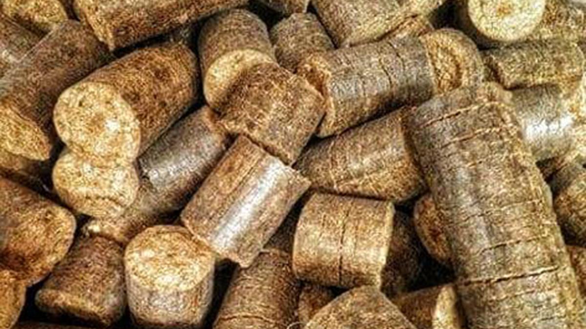 Top Biomass Briquette Manufacturer: Ecostan Biofuel's Sustainable Solutions
