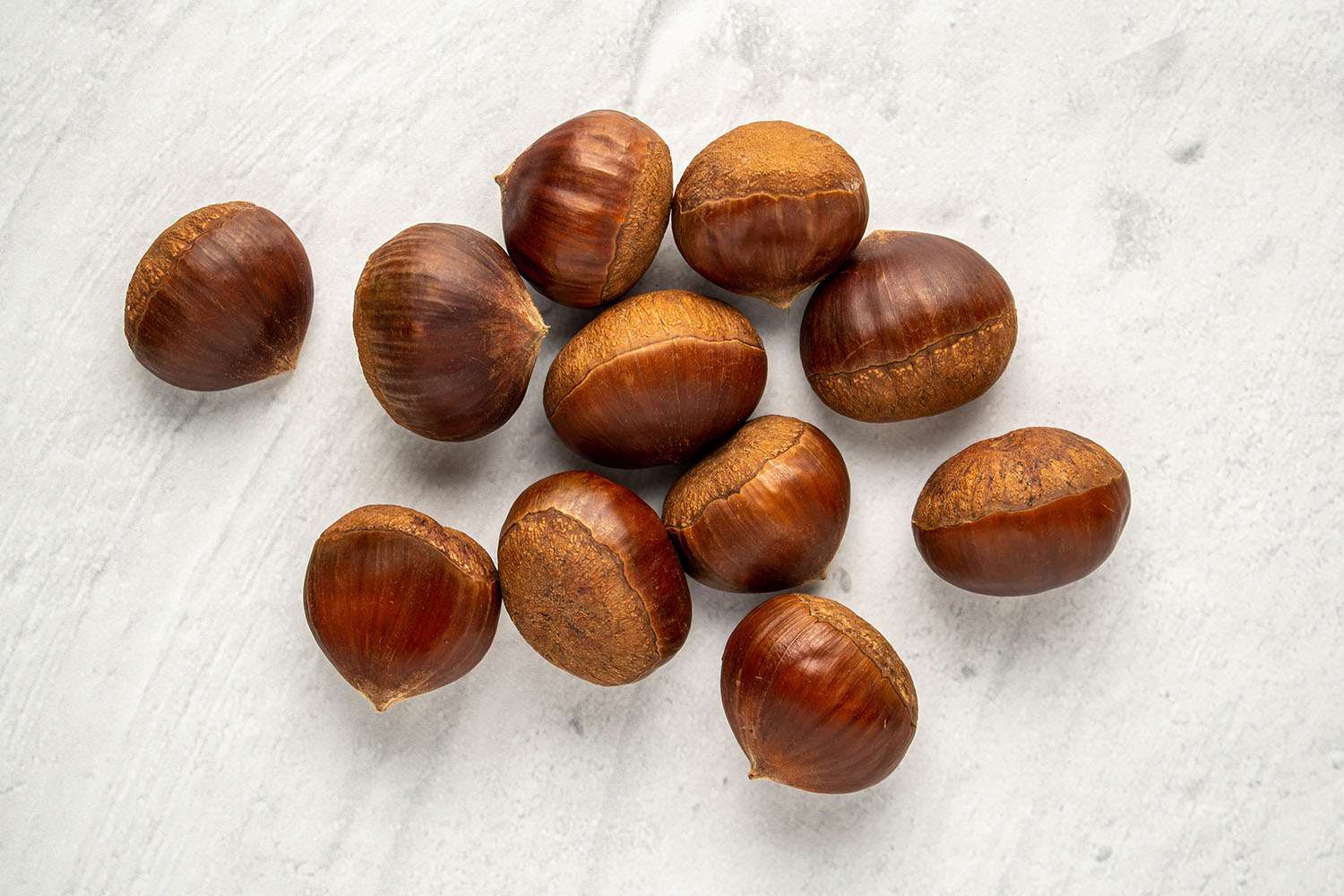 Chestnut Processing Plant Report, Project Economics, Requirements and Cost Analysis