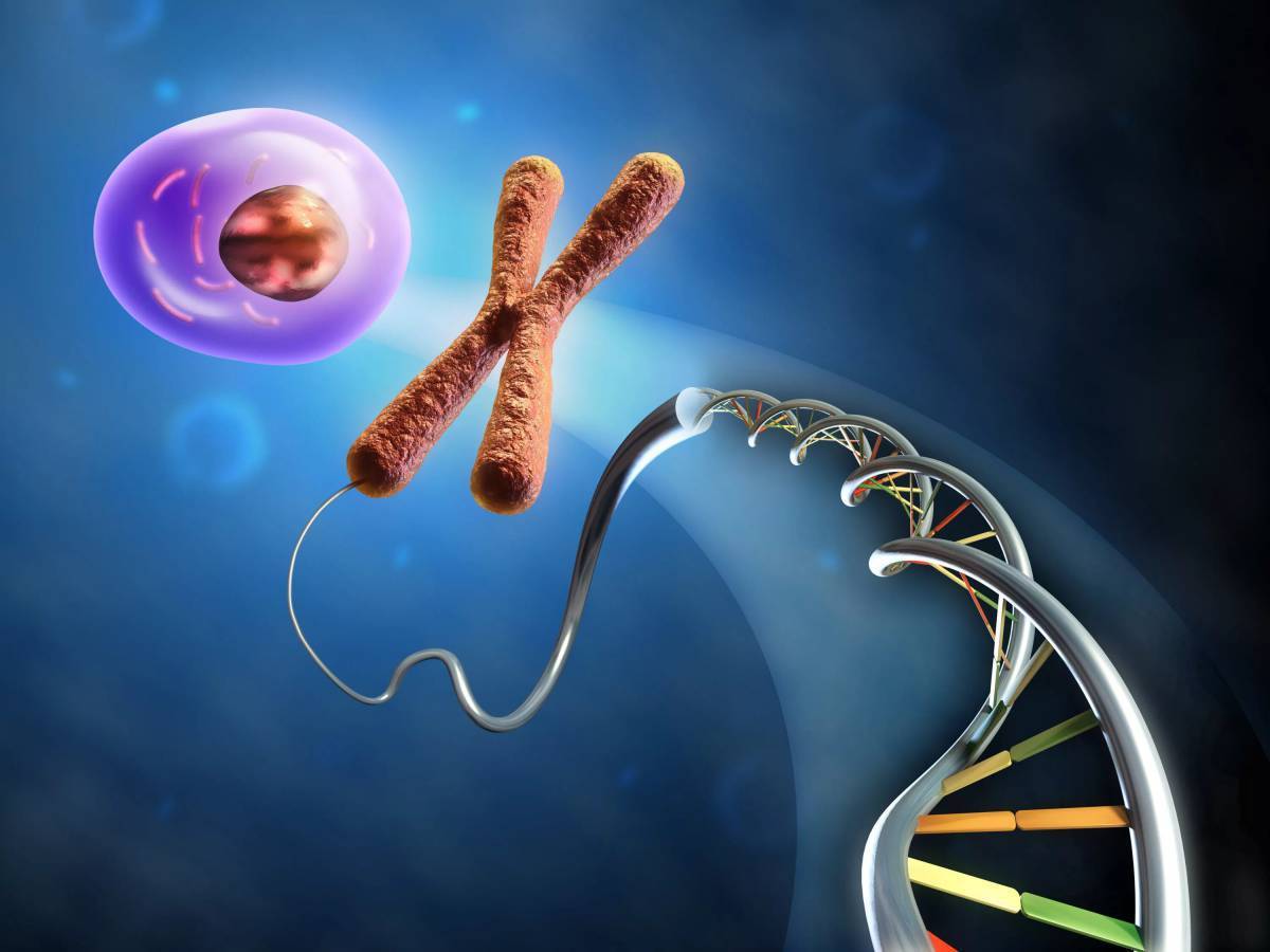 3D Imaging and MRI Coils: Transforming Diagnostics