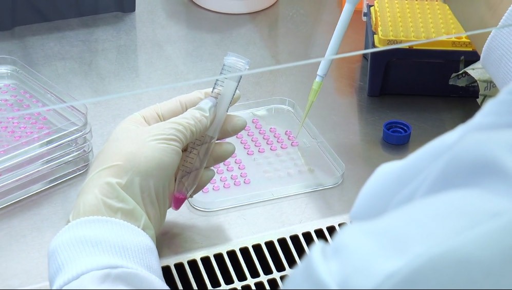 ADME Toxicology Testing Market Insights, Industry Size, Trends, Forecast 2025-2033