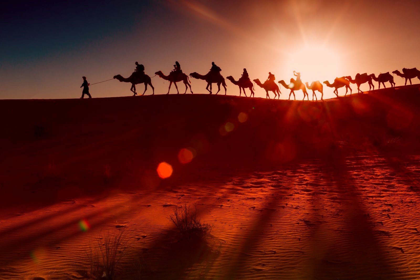 Top 10 Must-Visit Destinations in Saudi Arabia
