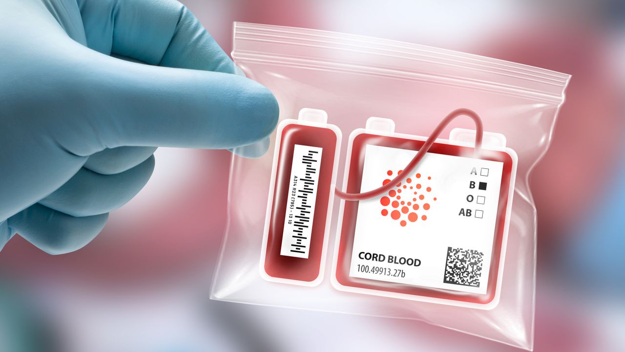 India Cord Blood Banking Market Insights: Exploring Growth Patterns and Size by 2030
